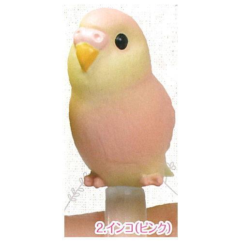 新品登場 指のりインコ 2 インコ ピンク ネコポス配送対応 C