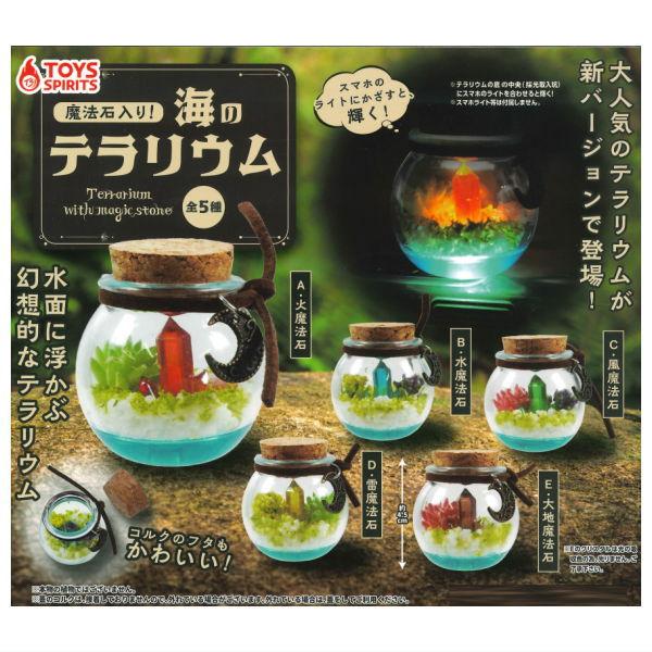 全部揃ってます!!】魔法石入り！海のテラリウム [全5種セット