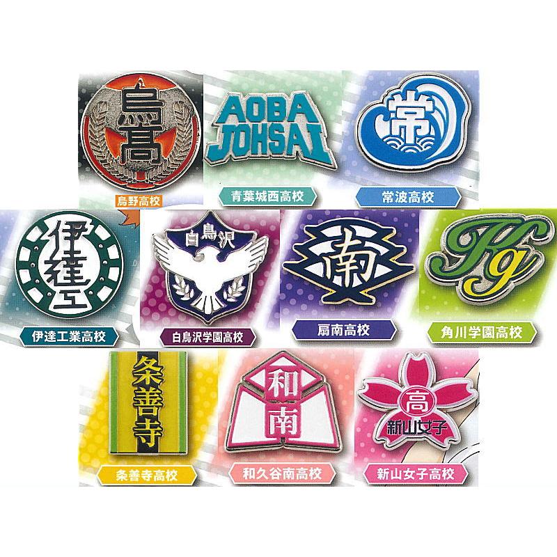 ハイキュー!! ピンバッジセット 10個・13個 ハイキュー!! ピンバッジセット 10個・13個 ハイキュー