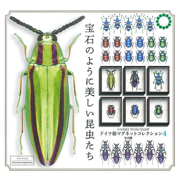 全部揃ってます!!】サイエンステクニカラー ドイツ箱 マグネット