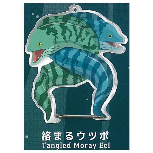 ウツボのカラビナ [4.絡まるウツボ]【ネコポス配送対応】【C