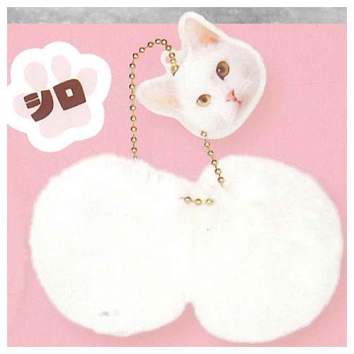 ともにゃん Amazon | mofamofy mofusand サメにゃん・はちにゃん セット