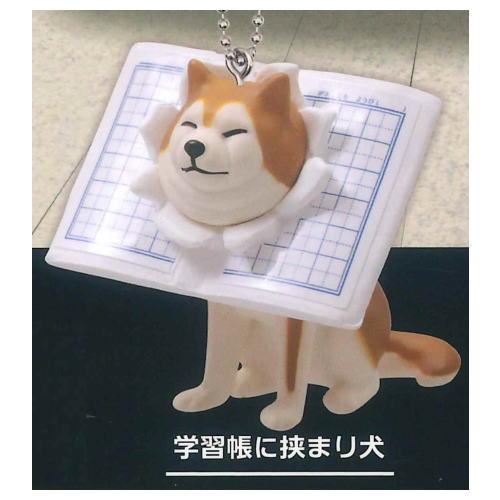 NEW 挟まり犬3 マスコットボールチェーン [4.学習帳に挟まり犬