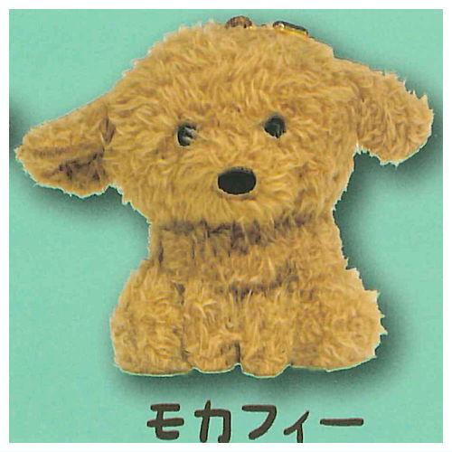 トイプーのモコフィー ぬいぐるみ [2.モカフィー]【ネコポス配送対応