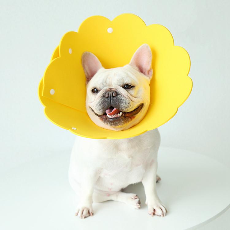 術後の傷口保護犬猫用傷口なめ防止介護用品首襟犬服 最大41%OFFクーポン 術後の傷口保護犬猫用傷口なめ防止介護用品首襟犬服 最大41%OFFクーポン