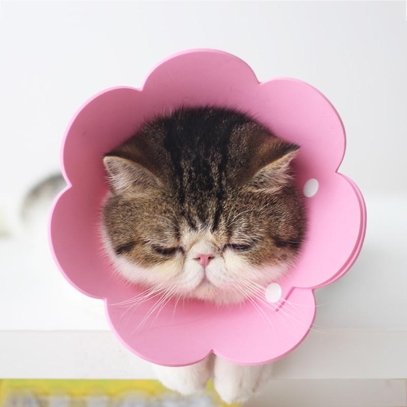 保障 可愛いお花 ネコ 猫用 Eva素材 軽量 ソフトエリザベスカラーs ストレス軽減 ペット用ソフトエリザベスカラーひまわり飾り 軽量術後傷口保護傷舐め防止 Lサイズ M