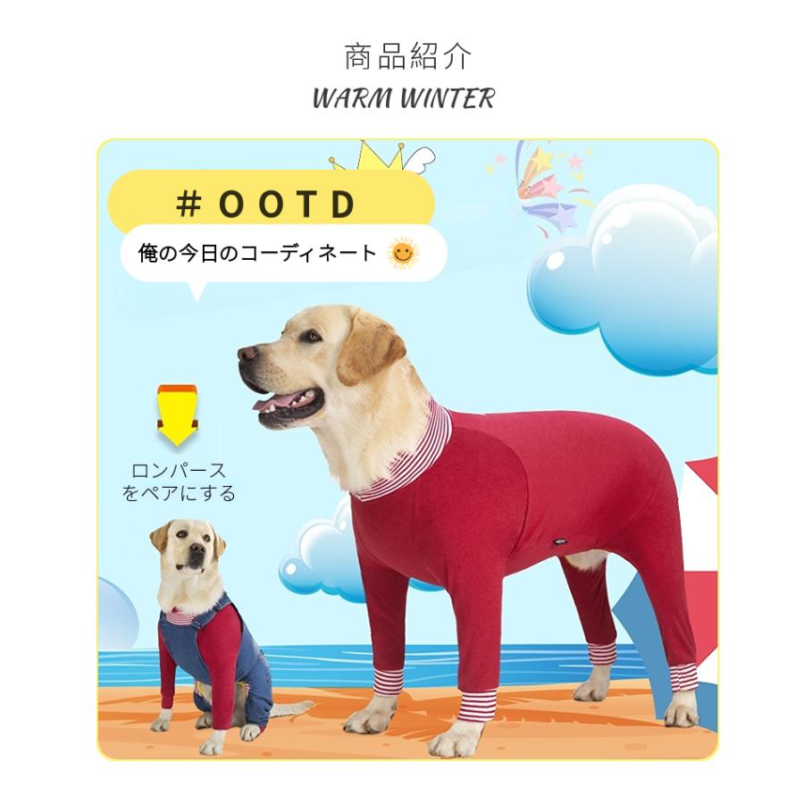 オーダー  犬の服 セミオーダー 特攻服 ロングタイプ│【DOGBASE YOKOHAMA