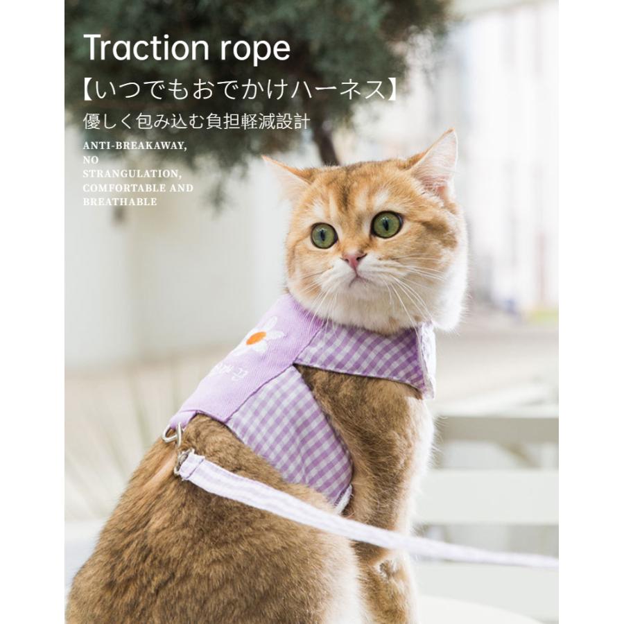 可愛いデージー♪ 韓国風 犬猫用胸当て＆ハーネス＆リードセット