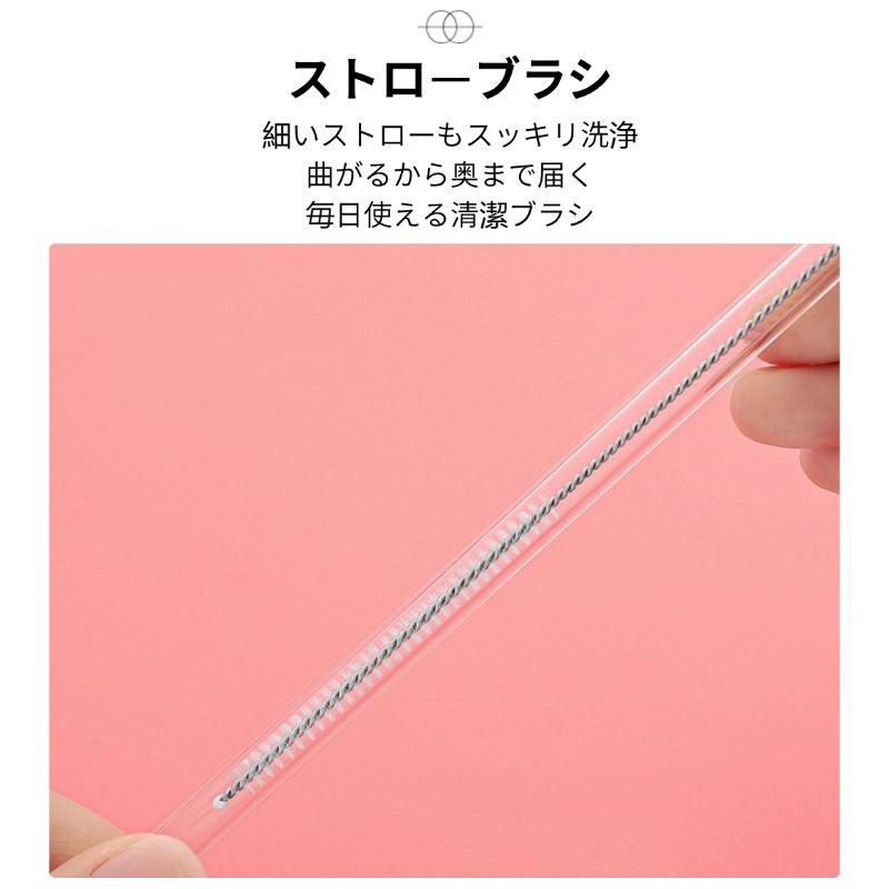 ストローブラシ 10本セット 吸管ブラシ ボトル洗浄 繰り返し使用可能