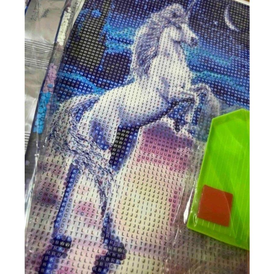 ダイヤモンドアート】初心者向け 幻想的ユニコーン ビーズ キット 絵画