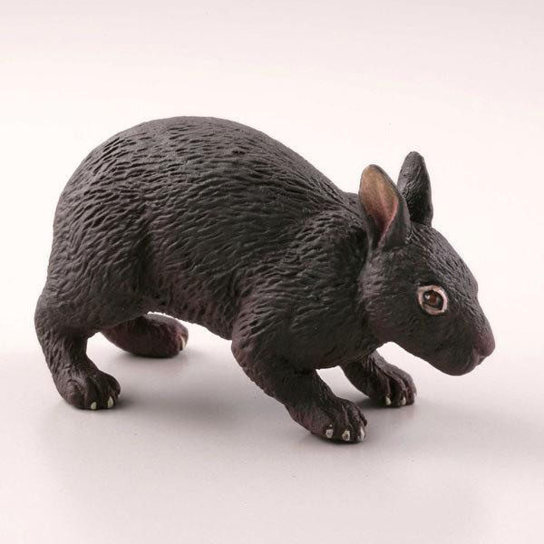 264円 卸直営 カプセルqミュージアム 日本の動物コレクション2 沖縄奄美 やんばるの森 アマミノクロウサギ