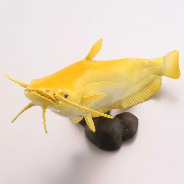 安値 カプセルqミュージアム 日本の動物コレクション5 琵琶湖 母なる古代湖 弁天ナマズ イワトコナマズ黄化型