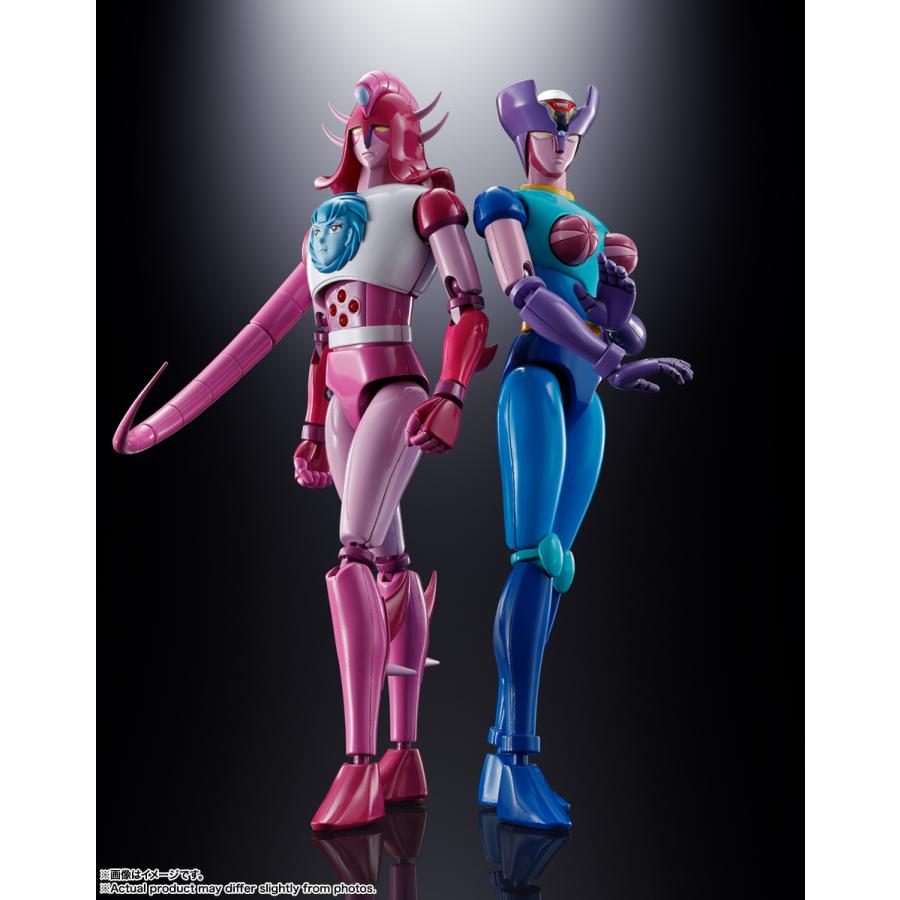 BANDAI（バンダイ） 超合金魂 GX-108 ラインX1 & GX-11R ダイアナンA