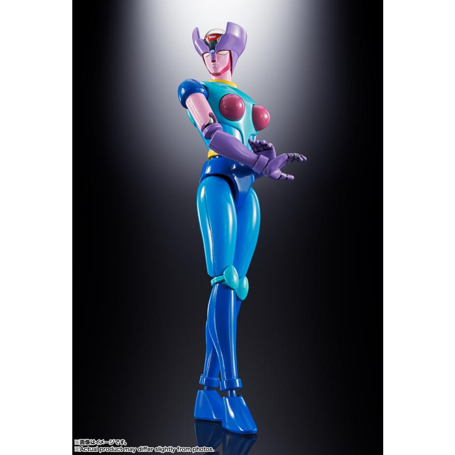 BANDAI（バンダイ） 超合金魂 GX-108 ラインX1 & GX-11R ダイアナンA
