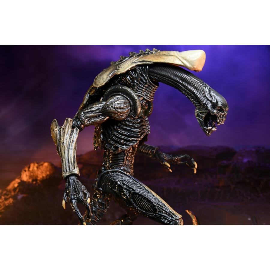 エイリアン vs プレデター 7インチ アクションフィギュア エイリアン vs プレデター 7インチ アクションフィギュア
