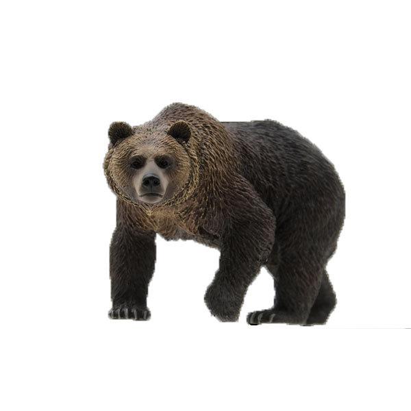 最大52 Offクーポン ネイチャーテクニカラー Nature Of Japan 日本のいきもの 01 ヒグマ