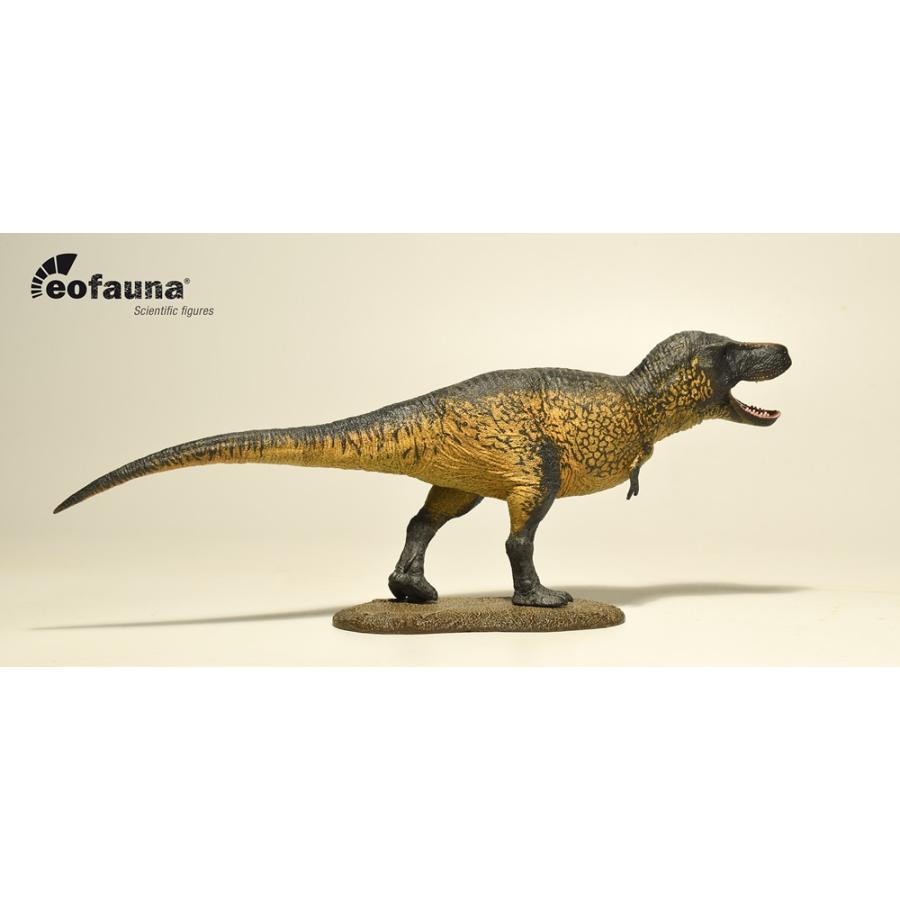 Eofauna（エオファウナ） ティラノサウルス・Sue（1：40）（EO009）｜toyskameta｜02