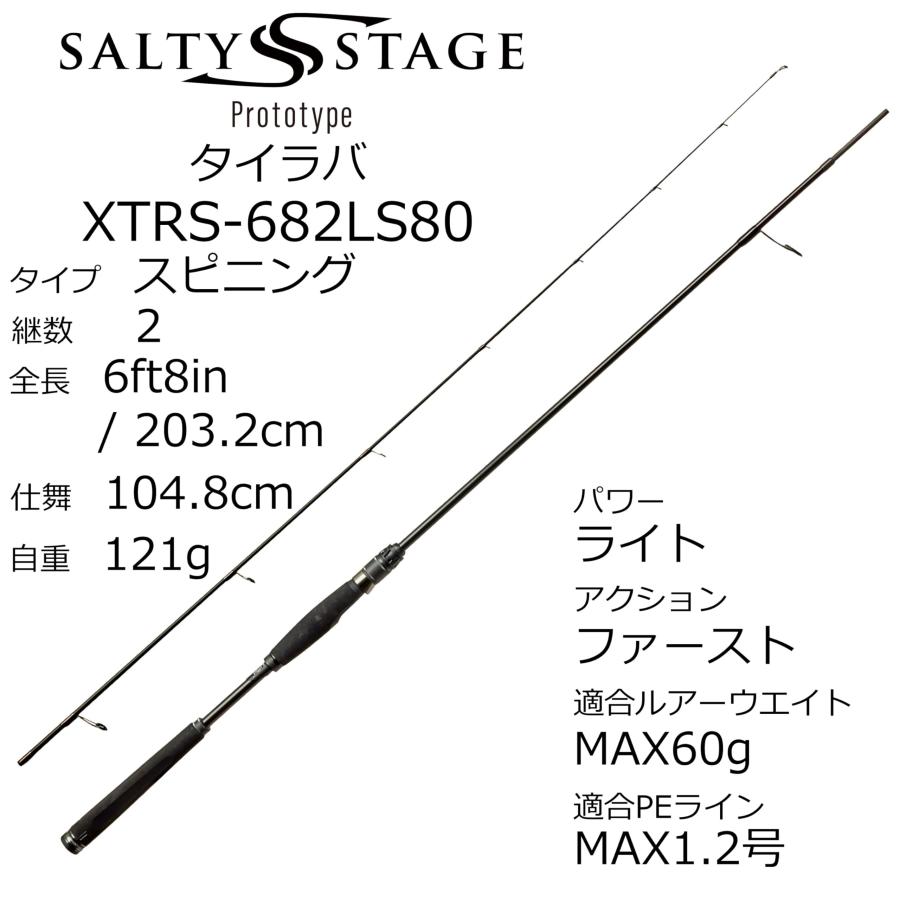 Abu Garcia(アブガルシア) ソルティーステージプロトタイプ タイラバ 