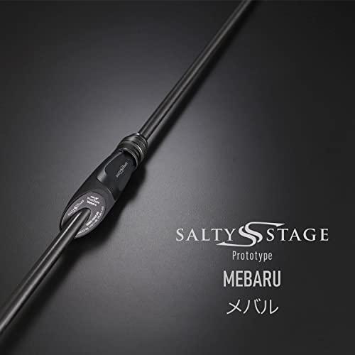 アブガルシア(Abu Garcia) ソルティステージ プロトタイプ メバル