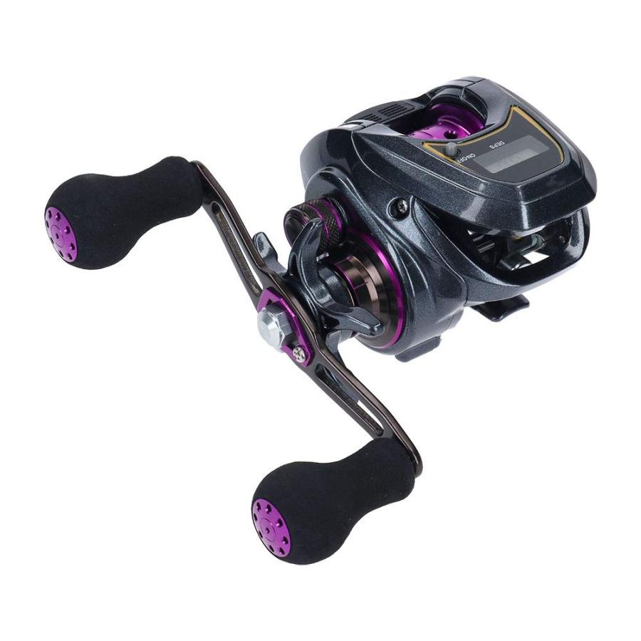 ダイワ　LIGHT SW IX ダイワ(DAIWA) LIGHT SW X IC R カウンター付ベイトリール : ワールド