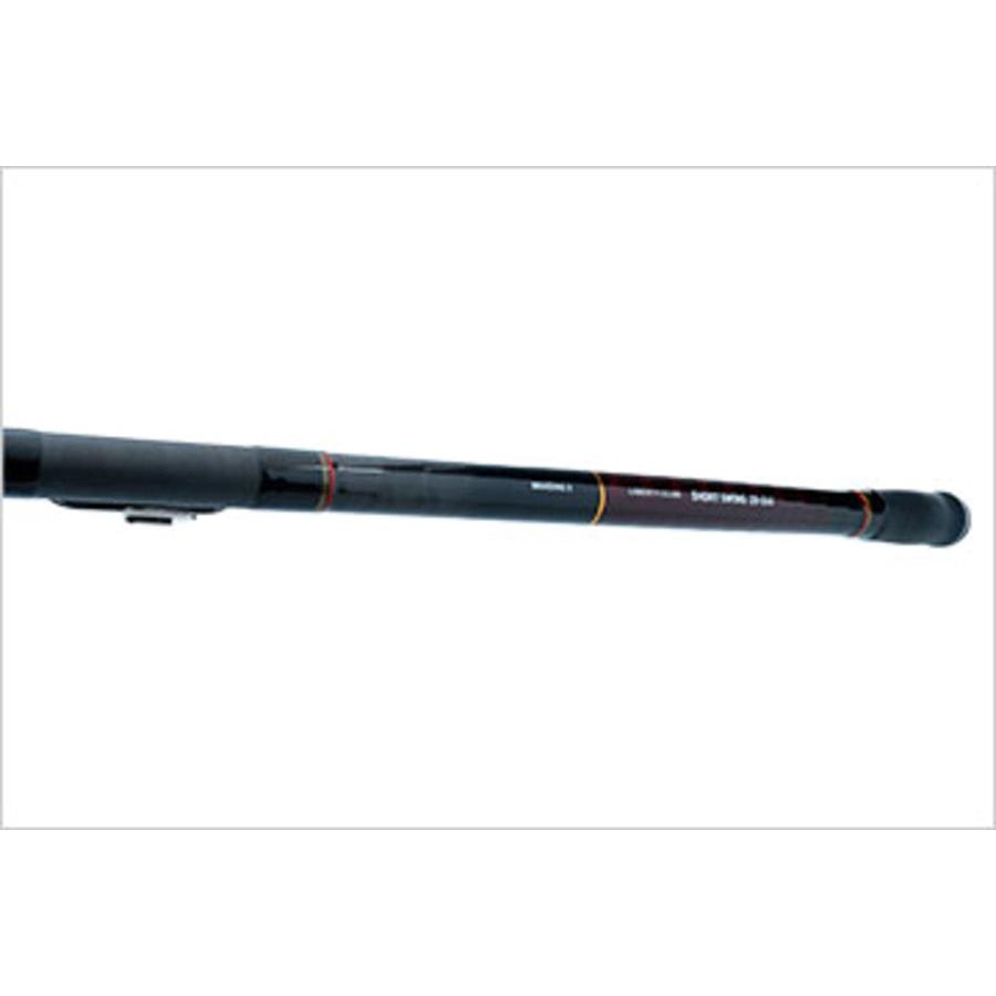 ダイワ(DAIWA) ロッド 21 リバティクラブ ショートスイング 10号-360・N