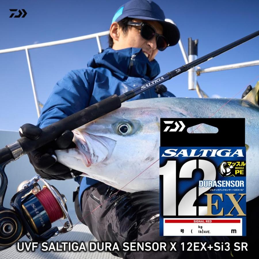 ダイワ(DAIWA) PEライン 12本撚り SGデュラセンサー×12EX SR6-300