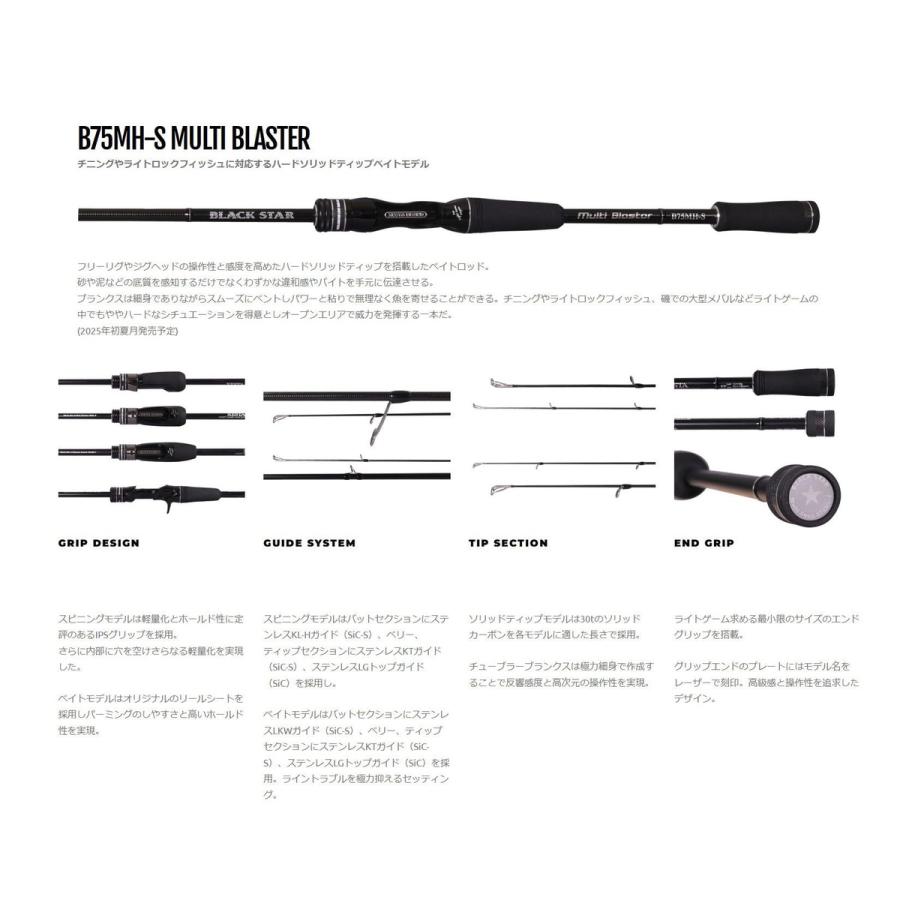 ゼスタ(Xesta) BLACK STAR B75MH-S MULTI BLASTER -マルチブラスター