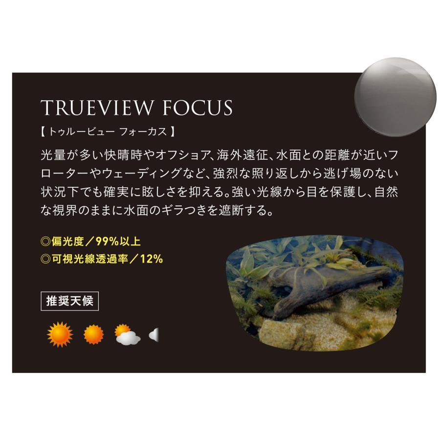 Zeque(ゼクー) 偏光サングラス DD(ディーディー) F-2162 マットブラック TRUEVIEW FOCUS/ BLUE MIRROR_1