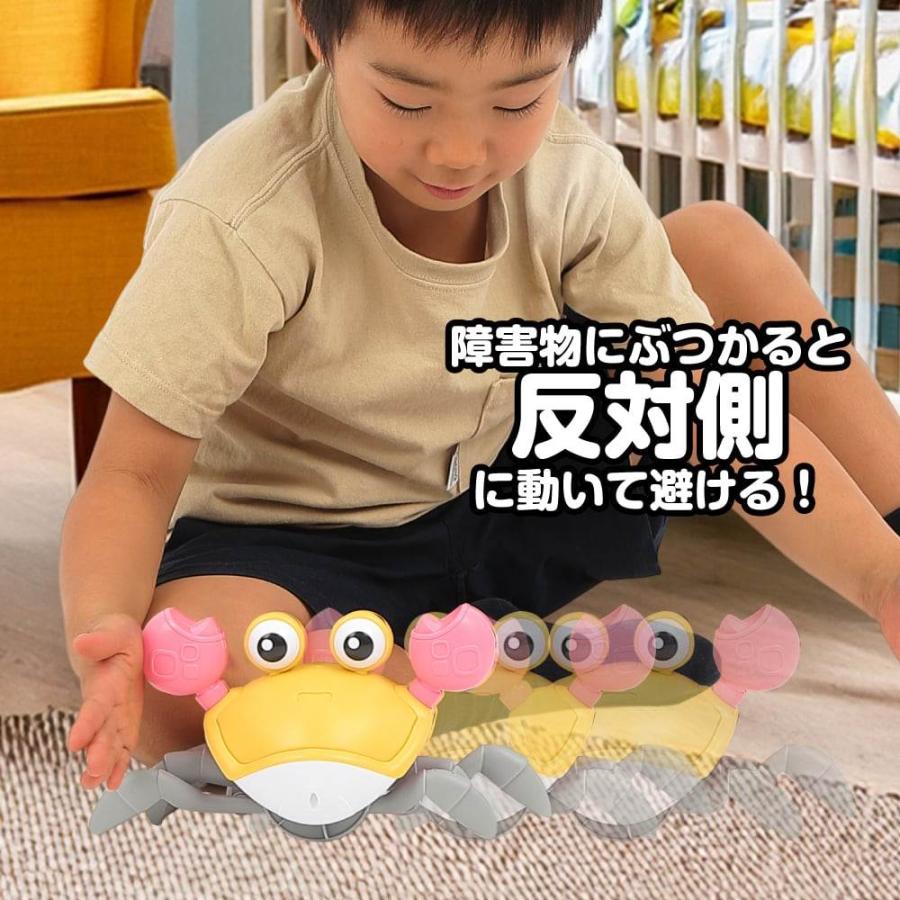 トイプさん プレイポップ 追いかけっこカニさん トイザらス限定 クリスマス