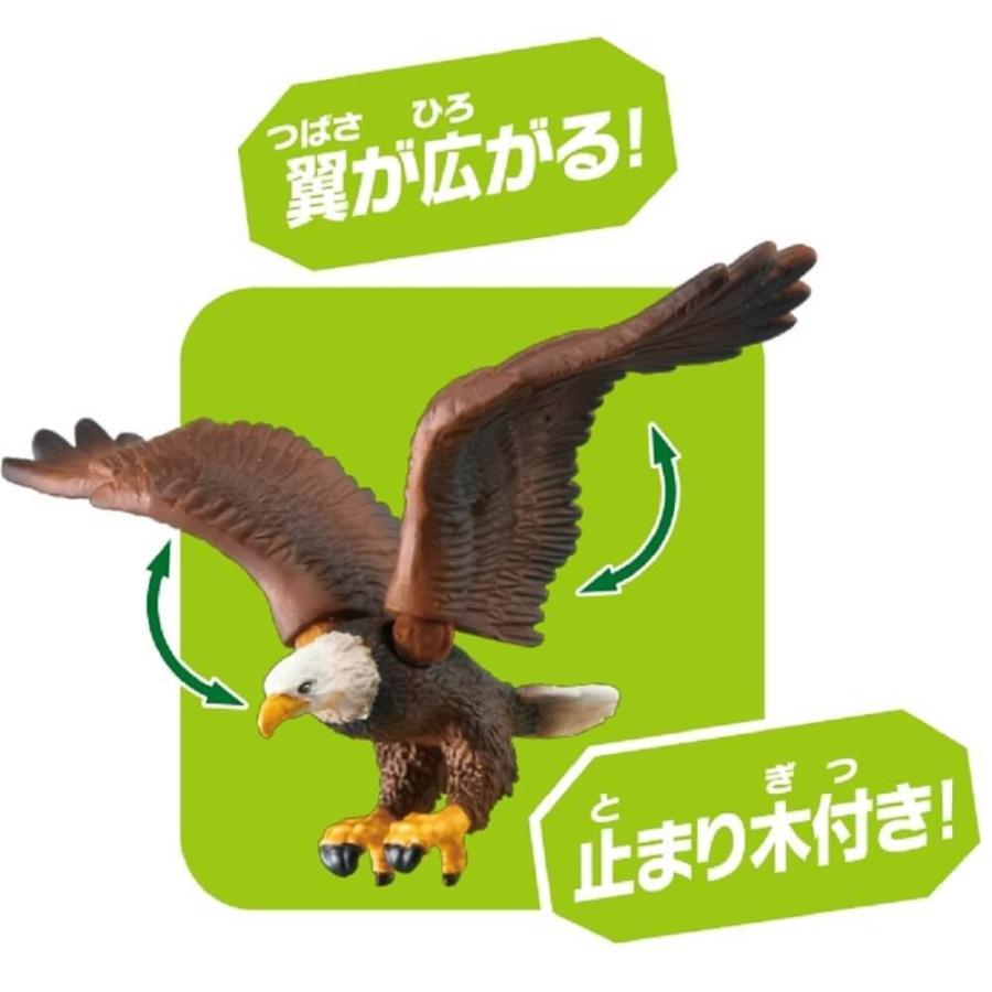 アニア As 05 ワシ ハクトウワシ トイザらス ベビーザらスヤフー店 通販 Yahoo ショッピング