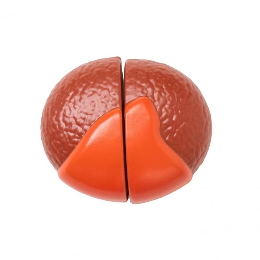 マイストーリー とんとんクッキング ハンバーグ おままごと おもちゃ