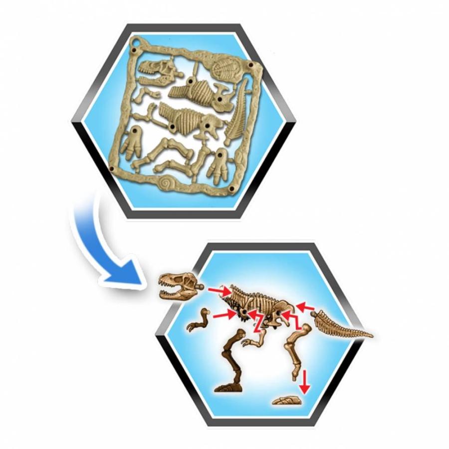 トイザらス限定 恐竜ライト＆サウンド ティーレックス&ツリー