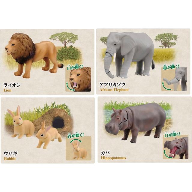 アニア 10周年記念メモリアルセット : トイスタジアム GOOD