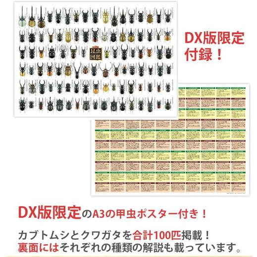 立体昆虫図鑑DX カブトムシ クワガタセット 標本 リアルフィギュア セット DX版限定付録｜toystadium-hobby｜06