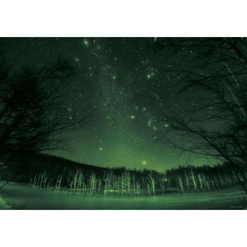 新品】加賀谷 KAGAYA 星夜 ルナ・ガーデン ジグソーパズル 500ピース