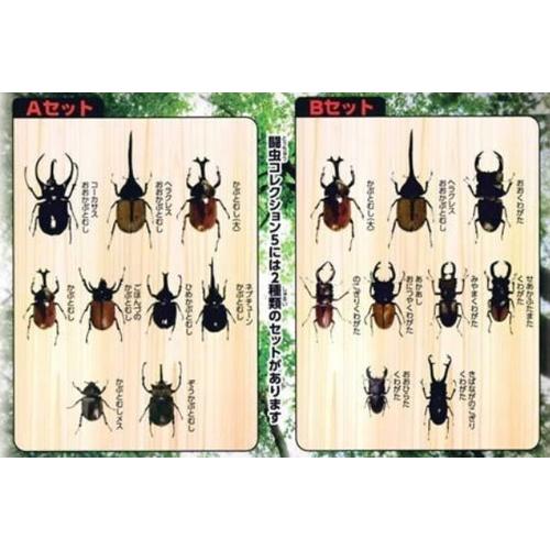 お買得2種セット 世界のカブト クワガタ 闘虫コレクション5 カブト クワガタ セット 昆虫 動物 リアルフィギュア 送料無料 トイスタジアム Paypayモール店 通販 Paypayモール