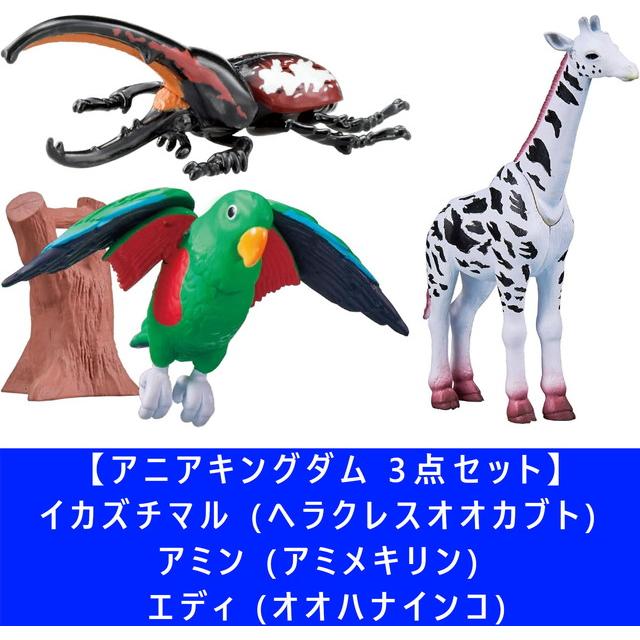 3点セット】アニアキングダム イカズチマル (ヘラクレスオオカブト