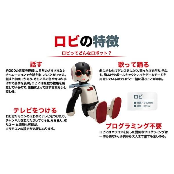 ロビ Robi 組立済み完成品 キャリングケース付き 特装版 RB20323021