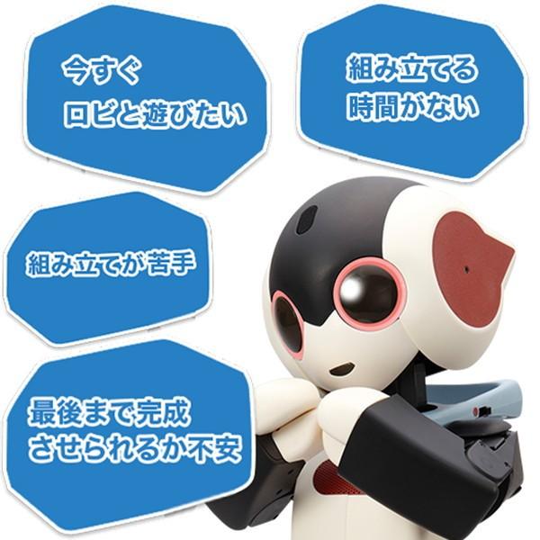 ロビ Robi 組立済み完成品 キャリングケース付き 特装版 RB20323021