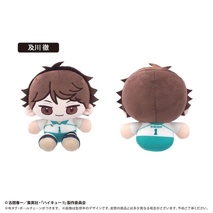 6月発売予定 アニメ「ハイキュー!!」 ミニおすわりたぴぬい Vol.5 及川