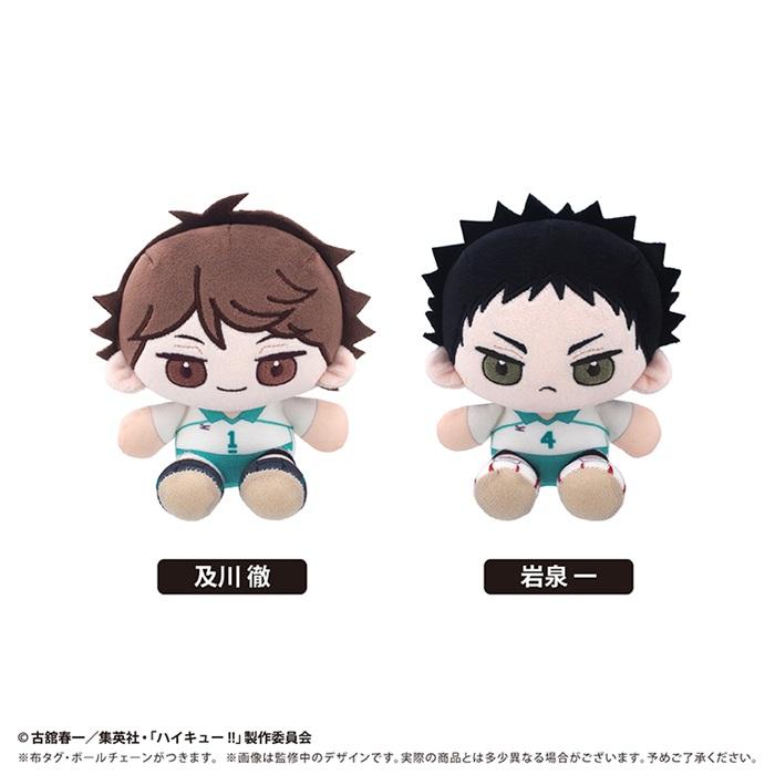 アニメ「ハイキュー!!」 ミニおすわりたぴぬい Vol.5 及川 徹 送料無料