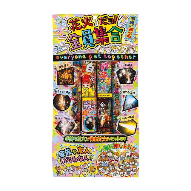 花火さん専用 花火だョ！全員集合 4581 (噴出 手持ち 線香 花火 大人数向け