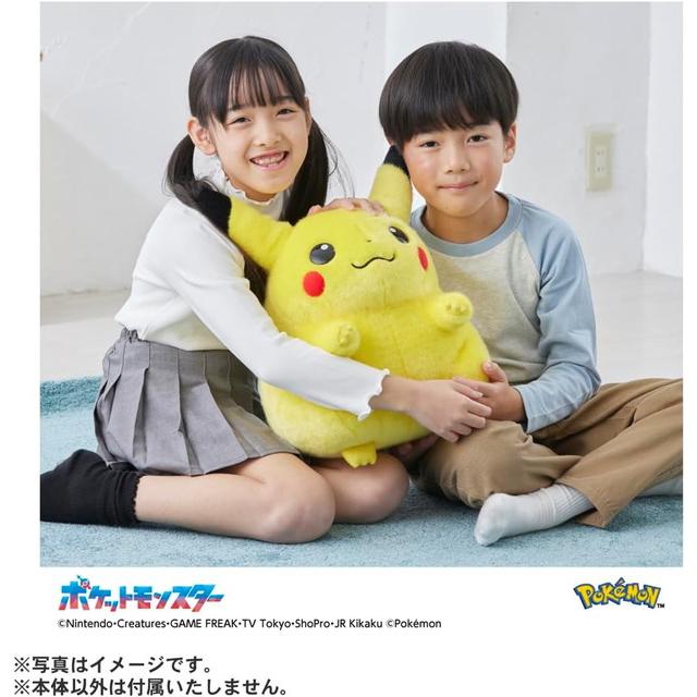 ポケットモンスター ポケモン30周年記念 おかえり!ピカチュウ1/1 送料