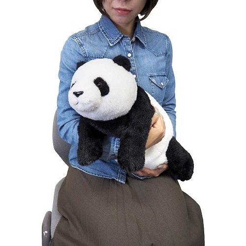 ひざぱんだ ぬいぐるみ M 全長48cm P-6022 送料無料 : トイスタジアム