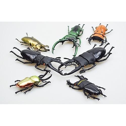 立体昆虫図鑑 世界のクワガタ リアルフィギュア 昆虫 送料無料 新作入荷 昆虫