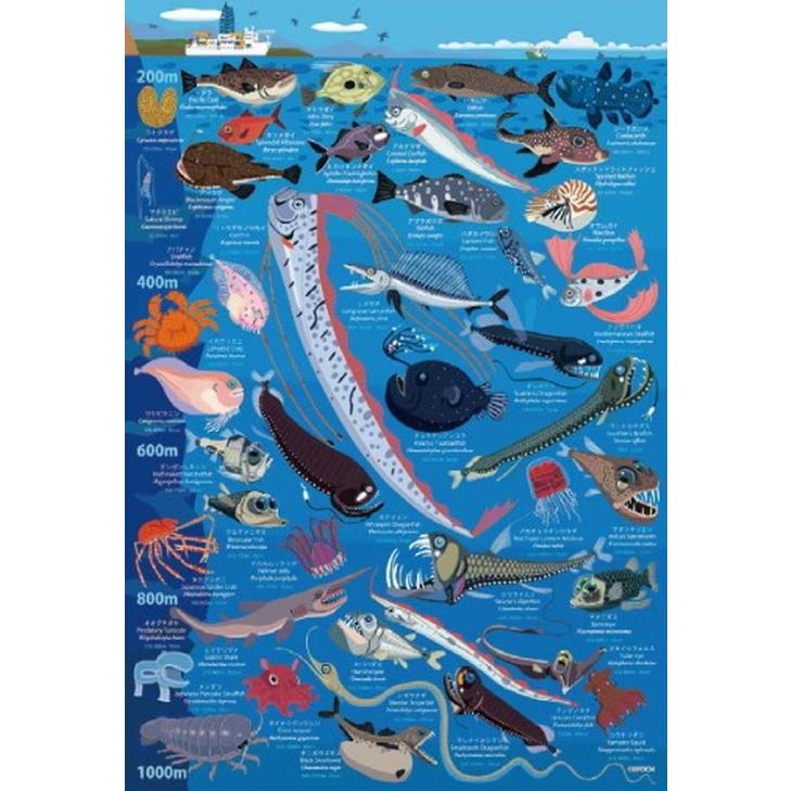 ジグソーパズル 100ラージピース 深海生物図鑑 水深200m〜1000m 26