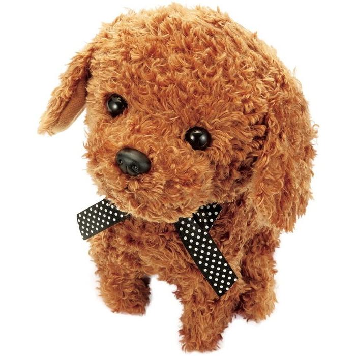 セガトイズ Sega Toys ココ さかだちして チョコレート 犬 ぬいぐるみ 送料無料 トイスタジアムyahoo 店 通販 Yahoo ショッピング