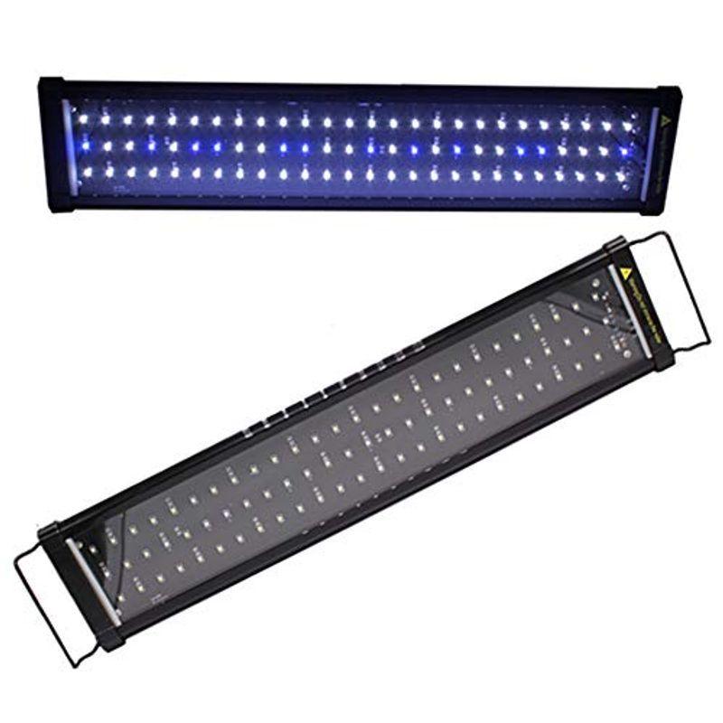 Wellvie 水槽用照明 アクアリウムライト LED600 60cm〜80cm LEDライト 白/青 点灯モード切替可能 ライトリフト lGhVMzb30O, ライト、照明器具 - centralcampo.com.br Wellvie 水槽用照明 アクアリウムライト LED600 60cm〜80cm LEDライト 白/青 点灯モード切替可能 ライトリフト lGhVMzb30O, ライト、照明器具 - centralcampo.com.br