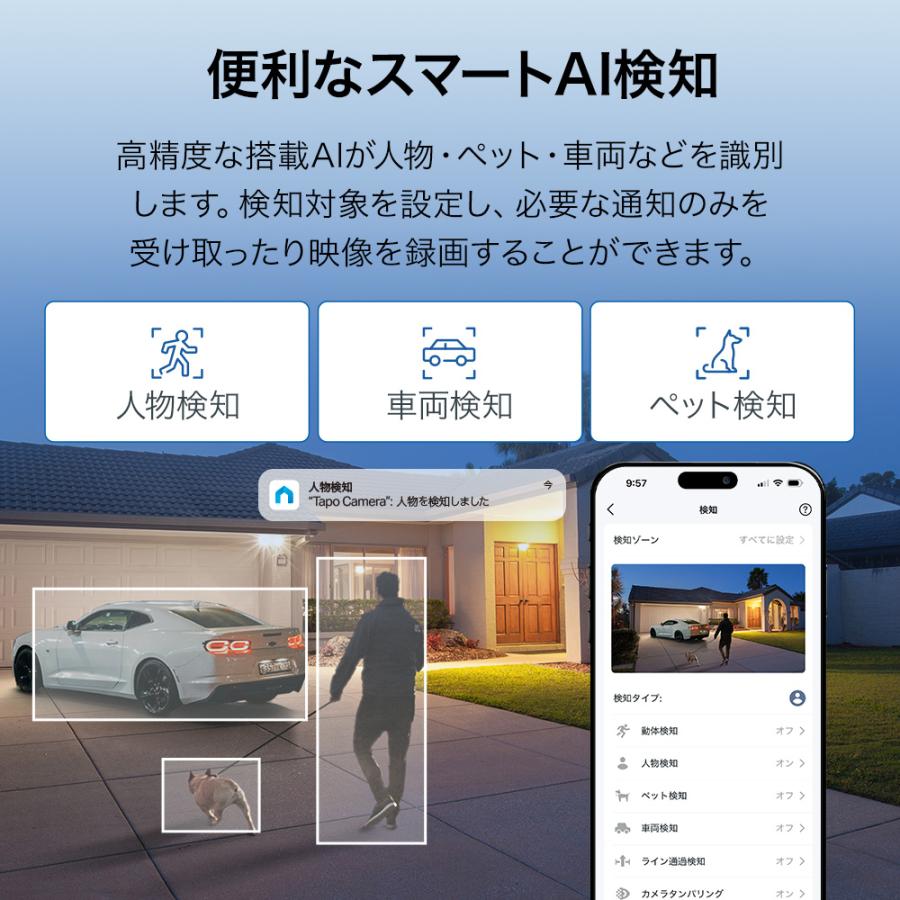 TP-Link 防犯カメラ 屋外 800万画素（フルHDの4倍）4K 超高画質 Tapo
