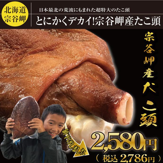 北海道 最北 宗谷岬 産 ) 超特大 刺身用 たこ頭 （ 蛸 タコ ）1.5kg